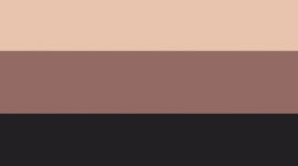 Black/Twilight Rose/Misty Shell (not available)