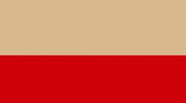 color image