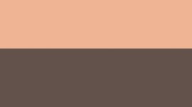 Goodnight Plum/Rose Gold