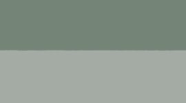 Dark Forest/Jade Grey