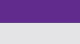 White/College Purple