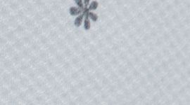 color image