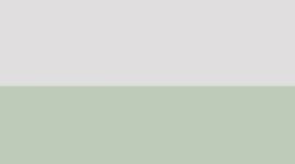 Sea Mist/Silver (not available)