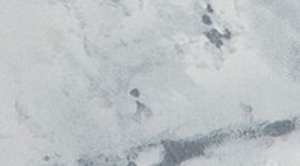 color image
