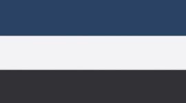 Black/True Navy/White