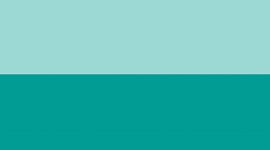 Storm Teal/Ideal Mint