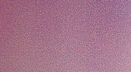 color image