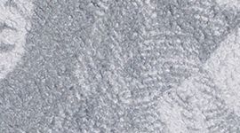 color image