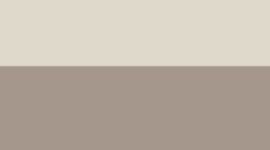Warm Ash Grey/Light Ivory
