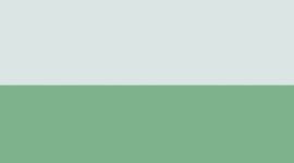 Mint Breeze/Summer Willow (not available)