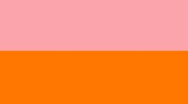 Raspberry Coulis/Lit Orange/Racer Pink