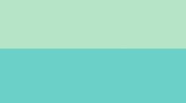 Citra Lime/Tropics Tone