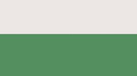 Light Ivory/Summer Willow (not available)