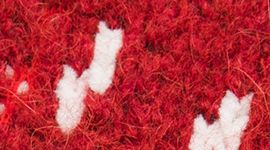 New Dark Sport Red/Cardinal/Beech White