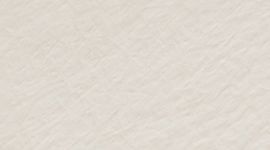 Light Ivory/Warm Ash Grey