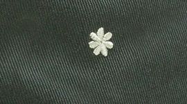 Star Flower Embroidery Rainforest Green Herbal (not available)