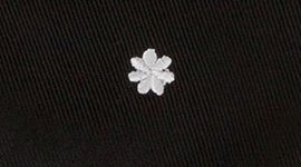 Star Flower Embroidery Black White (not available)