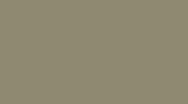 Dilute Wash Bay Leaf (not available)