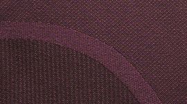 New Sequoia/Arctic Plum