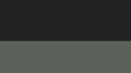 Palm Deco/Rainforest Green