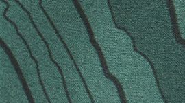 New Contour Medium Forest