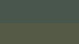 Bay Leaf/Rainforest Green
