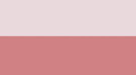 New Blissful Pink/Red Clay
