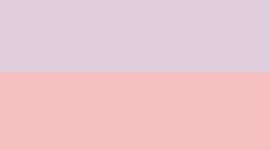 Pink Organza/Pink Haze