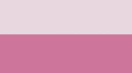 Blissful Pink/Pink Frosting (not available)