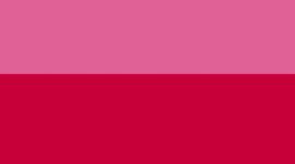 Pink Organza/Passionate/Pink Haze