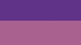 College Purple/Mystic