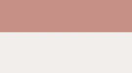 Spiced Chai/Light Ivory