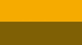 Maize Yellow/Graphite Grey