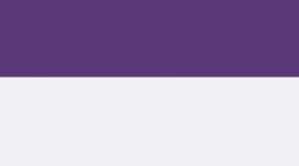 College Purple/White