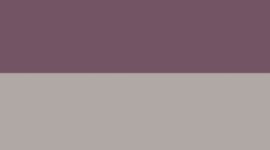 Dark/Arctic Plum