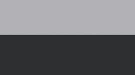 Black/Arctic Grey