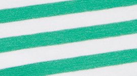 Narrow Bold Stripe White Cascadia Green (not available)
