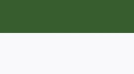 White/Endive Green