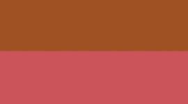 Pink Dragonfruit/Lit Orange/Racer Pink/Raspberry Coulis