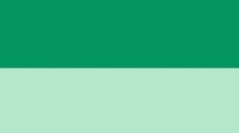 Raceway Green/Citra Lime