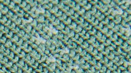 New Maple Echo Rip Tide/Medium Forest