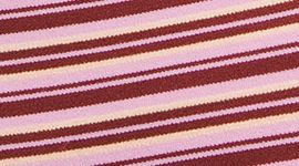 Variegated Stripe Pink Frosting Rock Melon