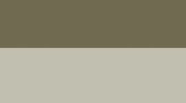 Bay Leaf/Light Ivory (not available)