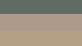Palm Deco/Warm Ash Grey/Sheer Oak