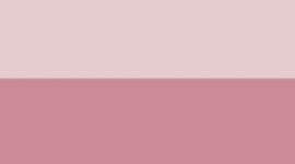 Blissful Pink/Calypso Pink