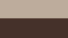 Warm Ash Grey/Sequoia (not available)