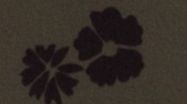 Floral Breeze Olive Brown Black (not available)