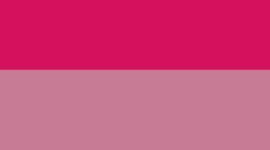 New Calypso Pink/Pink Frosting/Blissful Pink