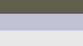 Unisex Power Stride Crew Socks 3 Pack *Updated