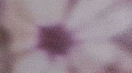 Meadow Haze Pink Multi